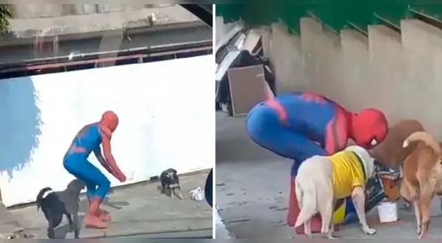 La escena ha cautivado a miles en las redes sociales. La escena ha cautivado a miles en las redes sociales.