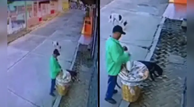 La escena ha cautivado a miles en las redes sociales. La escena ha cautivado a miles en las redes sociales.