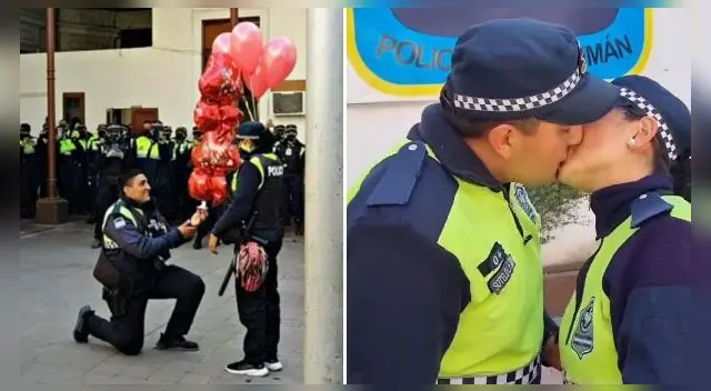 La escena ha cautivado a miles en las redes sociales. La escena ha cautivado a miles en las redes sociales.