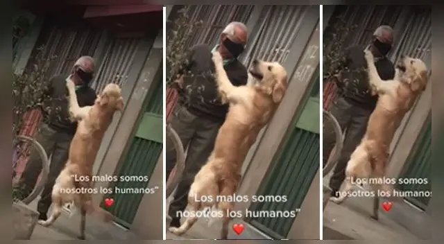 El video se ha vuelto viral en las redes sociales.