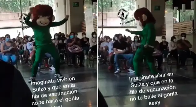 El divertido video hizo reír a miles en TikTok.