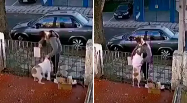 El perrito solo quedó a ver cómo se alejaba el ladrón. El perrito solo quedó a ver cómo se alejaba el ladrón.