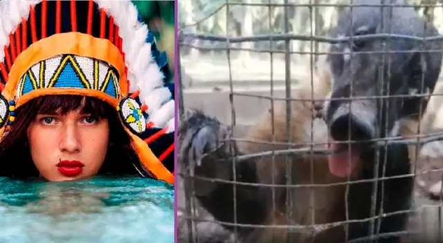 La Uchulú pide apoyar a los animales silvestres. La Uchulú pide apoyar a los animales silvestres.