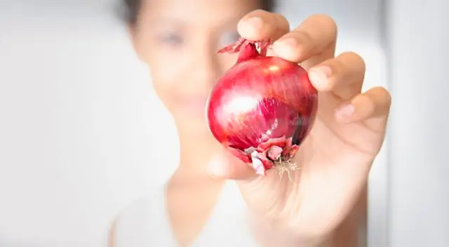 Beneficios del champú de cebolla para el cabello. Beneficios del champú de cebolla para el cabello.