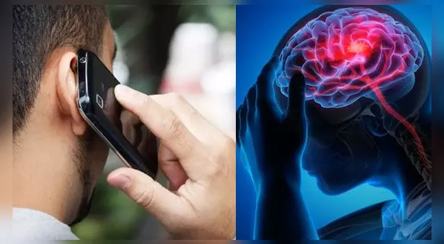 EE. UU.: científicos alertan que la radicación de los celulares podría provocar tumores cerebrales.