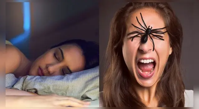 ¿Qué significa soñar con arañas y matarlas? ¿Será buen presagio? ¿Qué significa soñar con arañas y matarlas? ¿Será buen presagio?