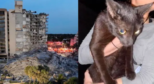 "En medio de esta tristeza, esperábamos buenas noticias para los sobrevivientes o para cualquier mascota", dijo María Gaspari, amiga de la familia González. "En medio de esta tristeza, esperábamos buenas noticias para los sobrevivientes o para cualquier mascota", dijo María Gaspari, amiga de la familia González.