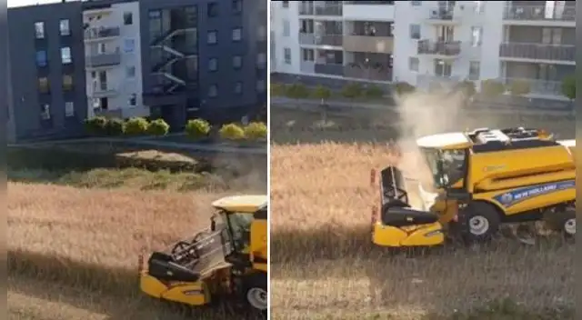 El video se ha vuelto viral en las redes sociales. El video se ha vuelto viral en las redes sociales.