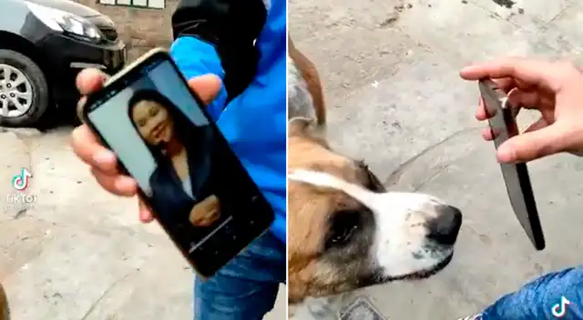 El perrito sorprendió con su reacción.