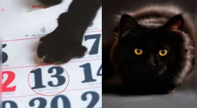 Martes 13: Descubre el origen de la historia y su vínculo con la mala suerte. Martes 13: Descubre el origen de la historia y su vínculo con la mala suerte.