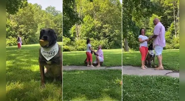 La escena ha causado sensación en las redes sociales. La escena ha causado sensación en las redes sociales.