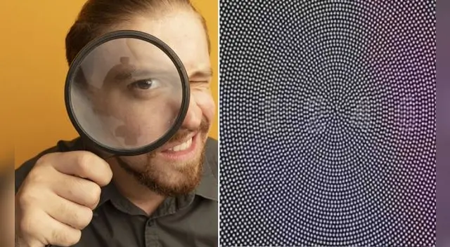 ¿Qué número se encuentra camuflado en la imagen?