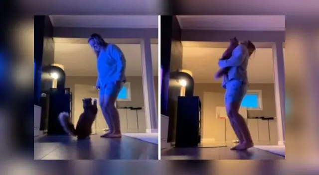 La escena ha causado furor en las redes sociales. La escena ha causado furor en las redes sociales.