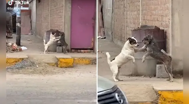 El video no ha tardado en volverse viral en las redes sociales.