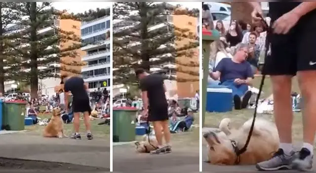 La escena ha causado furor en las redes sociales. La escena ha causado furor en las redes sociales.