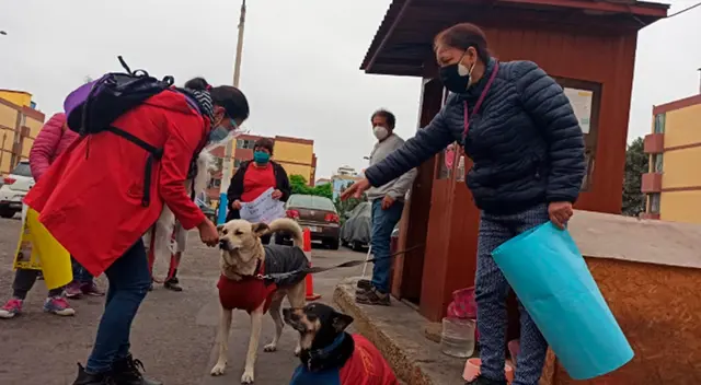 Vecinos cuidan a sus mascotas de asesinos.