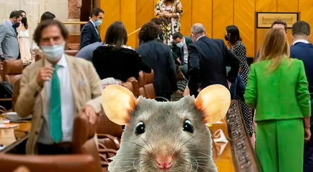 ¡Señorías, tranquilidad! Dijo la presidenta del parlamento Marta Bosquet en su intento de poner orden en la sala.