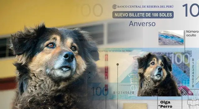 Perrovaca en el billete de 100 soles es viral en Twitter.