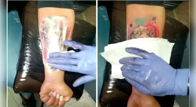 perrita tatuada en brazo de mujer perrita tatuada en brazo de mujer