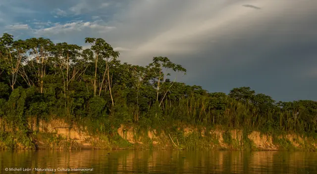 Área de Conservación Regional beneficia a 237 familias de manera directa y cerca de 18 mil familias de manera indirecta.