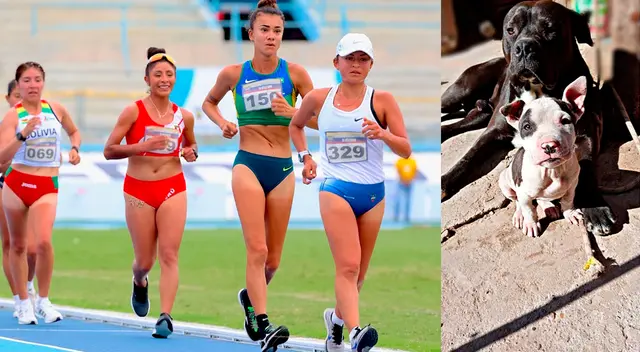 Leyde Guerra le puso a su perrita Tokio en alusión a los Juegos Olímpicos