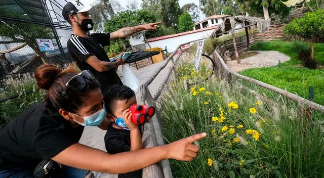 Familias podrán disfrutar del Parque de las Leyendas.