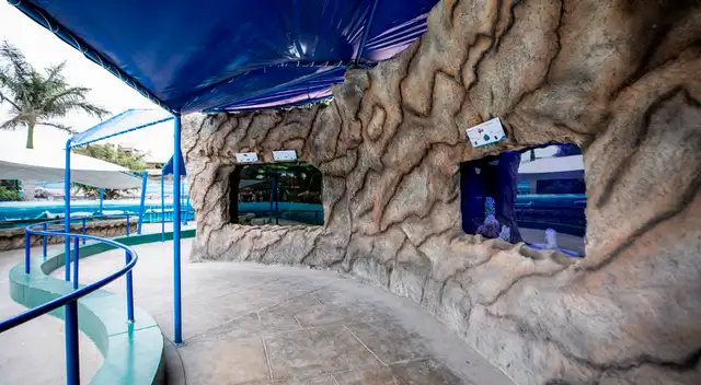 Disfrutar de todos sus atractivos.