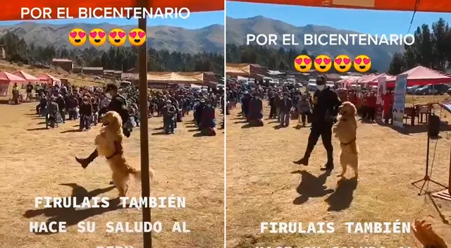 El tierno video logró obtener más de 1.1 millones de reproducciones em TikTok.
