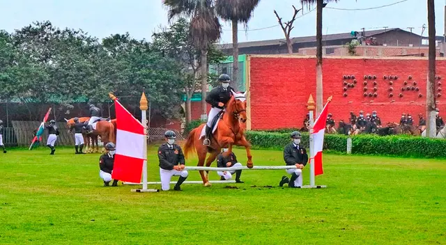 PNP y caballo en pleno espectáculo PNP y caballo en pleno espectáculo