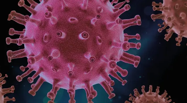 Variante Delta ocasionaría una enfermedad más grave que la COVID-19. Variante Delta ocasionaría una enfermedad más grave que la COVID-19.