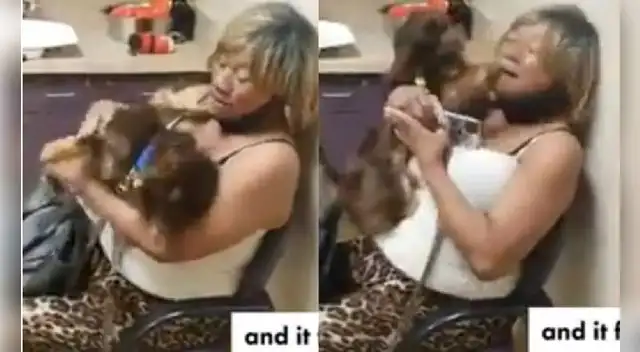 Momento de recuentro entre el animal y sus familiares quedó grabado y fue publicado en Facebook. Foto: composición/captura video Momento de recuentro entre el animal y sus familiares quedó grabado y fue publicado en Facebook. Foto: composición/captura video