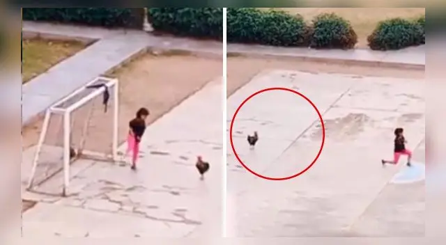 La escena ha causado furor en las redes sociales. La escena ha causado furor en las redes sociales.