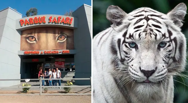 A consecuencia de las heridas de gravedad, la víctima falleció casi instantáneamente.