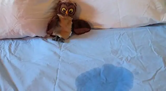 El Dr. Kwon dice que mojar la cama no es una preocupación hasta que su hijo tenga 7 años.