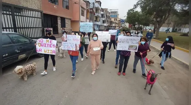 Denuncian que sujeto envenena mascotas Denuncian que sujeto envenena mascotas