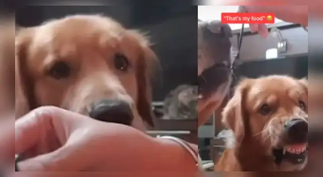 La escena ha causado furor en las redes sociales.