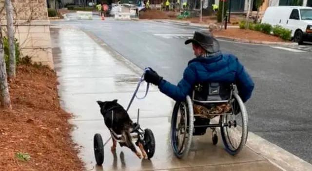 El perro y el hombre se volvieron inseparables.