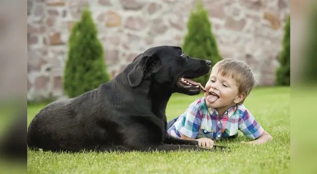 En esta fecha especial se busca concientizar sobre los derechos básicos que todo infante merece.