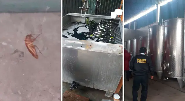 el negocio no presentaba documentación de trazabilidad de los productos e insumos, además de presentar otras deficiencias sanitarias. el negocio no presentaba documentación de trazabilidad de los productos e insumos, además de presentar otras deficiencias sanitarias.