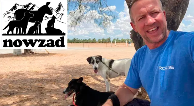 Nowzad es el primer santuario de animales oficial en el país que cuida a más de 140 perros, 60 gatos, 24 burros y un par de caballos. Nowzad es el primer santuario de animales oficial en el país que cuida a más de 140 perros, 60 gatos, 24 burros y un par de caballos.