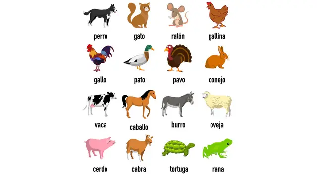 Conoce la clasificación de animales domésticos según su hábitat. ¡Infórmate ahora y descubre cómo cuidar a tus mascotas!