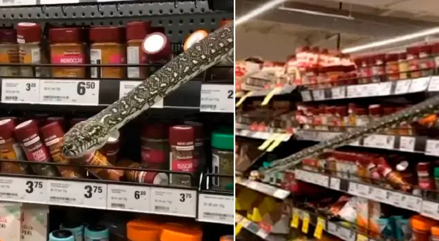 La serpiente de tres metros de largo sorprendió a los compradores. La serpiente de tres metros de largo sorprendió a los compradores.