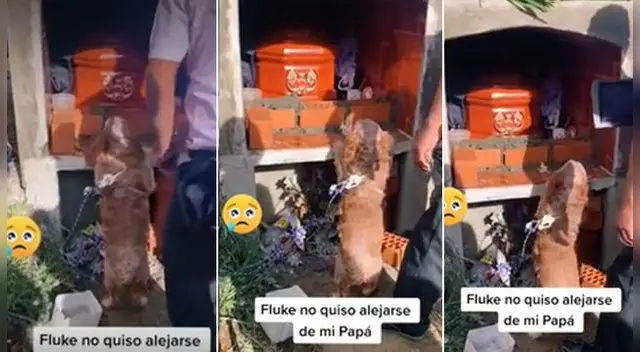 El video se ha vuelto viral en las redes sociales. El video se ha vuelto viral en las redes sociales.