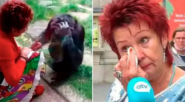 La mujer belga asegura que tiene un romance con un chimpancé desde hace 4 años.