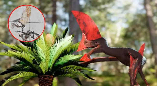 Estos pterosaurios en particular son más conocidos por tener una cresta gigante que corona la cabeza.