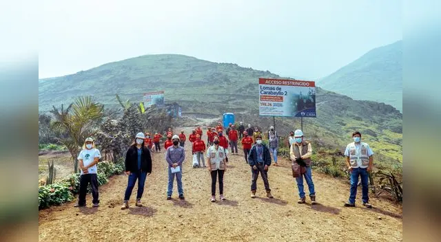 Inician mejoramiento del circuito turístico en Lomas de Carabayllo Inician mejoramiento del circuito turístico en Lomas de Carabayllo