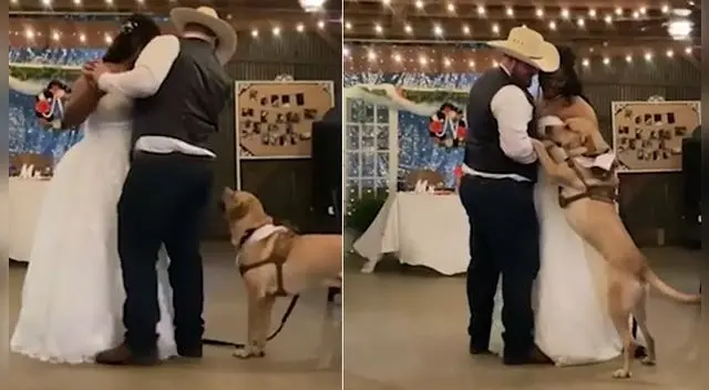 El hecho no ha tardado en volverse viral en las redes sociales. El hecho no ha tardado en volverse viral en las redes sociales.