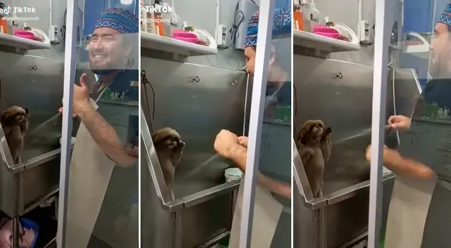 El divertido video logró obtener más 1 millón de reproducciones en TikTok.