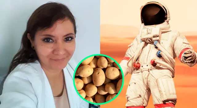 La variedad única de papa elegida será la que se plantará y cultivará en Marte. La variedad única de papa elegida será la que se plantará y cultivará en Marte.