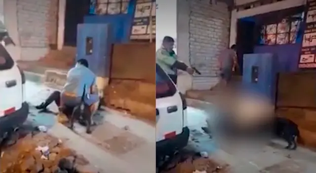 Perro pitbull mordió a un transeúnte en Collique.